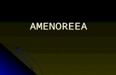 4. Amenoreea