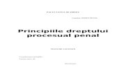 Principiile Dreptului Procesual Penal