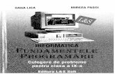 DanaLica MirceaPasoi FundamenteleProgramarii Cls09