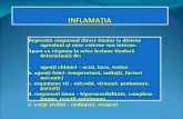 Inflamatia Gen