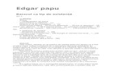 Edgar Papu-Barocul CA Tip de Existenta V1 04