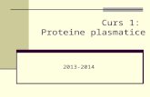 Curs 1 Proteine si Markeri Tu.ppt
