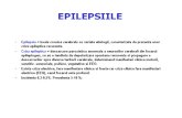 Epilepsiile Text 2015
