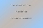 Curs 4 Pneumologie