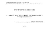 Fitotehnie - An III, Sem I - Panaitescu Liliana