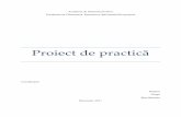 Exemplul 3 Proiect Practica Spec CE