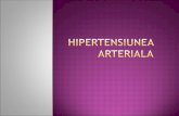 Hipertensiune Arteriala MG