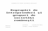 Regrupări de Întreprinderi Şi Grupuri de Societăţi Româneşti