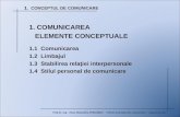 T1 - Concept Comunicare PowerPoint