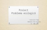 6. Problema Ecologica