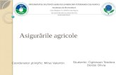 asigurarile agricole.pptx
