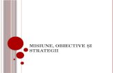 Misiune, Obiective Şi Strategii