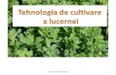 TEHNOLOGIA-DE-CULTIVARE-A-LUCERNEI (1).docx
