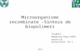 Microorganisme Recombinate -Sinteza de Biopolimeri
