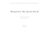 Raport de Practica - Stoicescu Cristina Elena