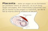 placenta praevia.pptx