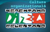 Cultura Organizationala Pizza Celentano.