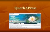 Quark x Press