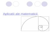 Aplicatii Ale Matematicii 1