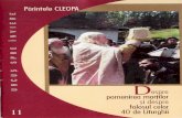 Cleopa Ilie - Despre pomenirea mortilor si folosul celor 40 de Liturghii.pdf