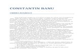 Constantin Banu-Umbra Soarelui 0.1 07