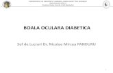 Boala Oculara Diabetica - 6.10