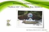 Prezentarea stațiunii balneare Nufărul Alb, Nofit M. Gr. 1, ECTS, Bălți.pdf