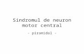 sdr neuron motor central