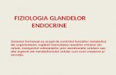 Fiziologia Glandelor Endocrine.ppt
