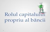 Capitalul Normativ Total