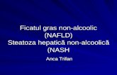 Ficatul Gras Non-Alcoolic (NAFLD)