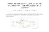 STRATEGII DE VALORIFICARE TURISTICA ALE INVELISULUI BIOTIC.docx