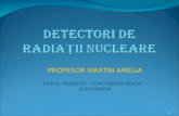 Detector i de Radiatii Nucleare