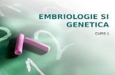 Embriologie 1