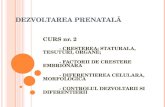 Embriologie 2-97-2003