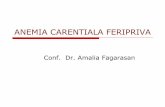 ANEMIA FERIRIVA.pdf