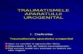 Traumatismele Aparatului Urogenital Modificat