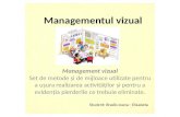 Managementul Vizual