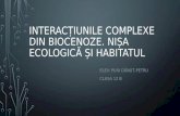 Proiect Bio Interac›iunile Complexe Din Biocenoze