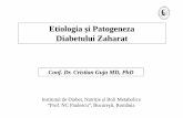 CURS 01.1-Etiopatogenia DZ