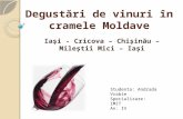 Degustări de Vinuri În Cramele din Rep Moldova