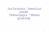 Curs Green glueing.ppt