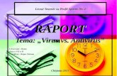 Raport TIC Virus vs Antivirus