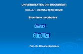 Curs 03 Glicoliza.pdf