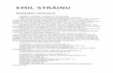 Emil Strainu-Dinamici Sociale 08