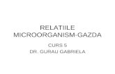 Curs 5 - Relatiile Microorganism-gazda
