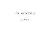 Virusologie Curs 3