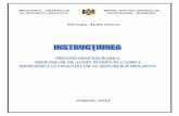 Instructiunea DAI.pdf