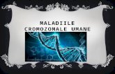 Maladiile cromozomale umane