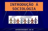 Introducao a Sociologia 13